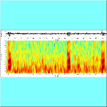 Serrasalmus maculatus_spectrogram2.png